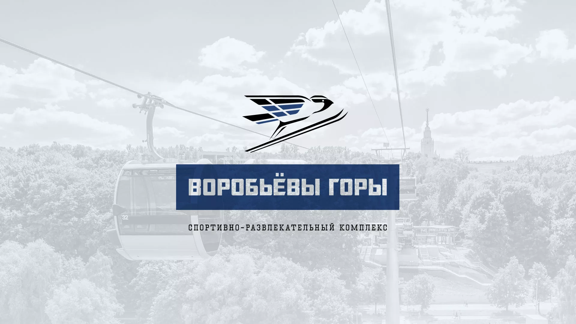 Разработка сайта в Чкаловском для спортивно-развлекательного комплекса «Воробьёвы горы»